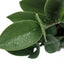 20" Tall, Artificial Plant, Zz, Indoor, Faux, Fake, Table, Greenery, Potted, Real Touch, Decorative - Green / Gray