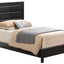 Transitional Modern Design Bed