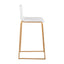 Mara - Contemporary Upholstered Barstool (Set of 2)