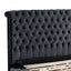Hazel - Queen Size Tufted Storage Bed & Bluetooth Speakers, USB Port - Black