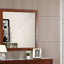 Burlington - Modern Design Transitional Wall Mirror