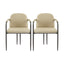Modern Dining Chair (Set of 2) With Iron Frame - Espresso / Khaki