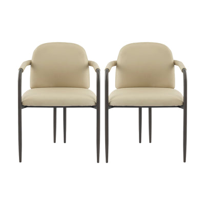 Modern Dining Chair (Set of 2) With Iron Frame - Espresso / Khaki