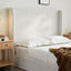 Caron - Queen Size Upholstered Wingback Bed With Adjustable Base Bundle Set - Ivory