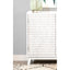 Carillon - 2 Door Accent Cabinet - White