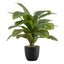 17" Tall, Artificial Plant, Dracaena, Indoor, Faux, Fake, Table, Greenery, Potted, Real Touch, Decorative - Green / Black