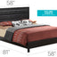 Transitional Modern Design Bed
