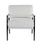 Modern Accent Chair With Cushions, Cozy Seating
