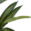 51" Tall, Artificial Plant, Dracaena Tree, Indoor, Faux, Fake, Floor, Greenery, Potted, Real Touch, Decorative - Green / Black