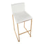 Mason Mara - Contemporary Versatile Desig Fixed Height Barstool (Set of 2)