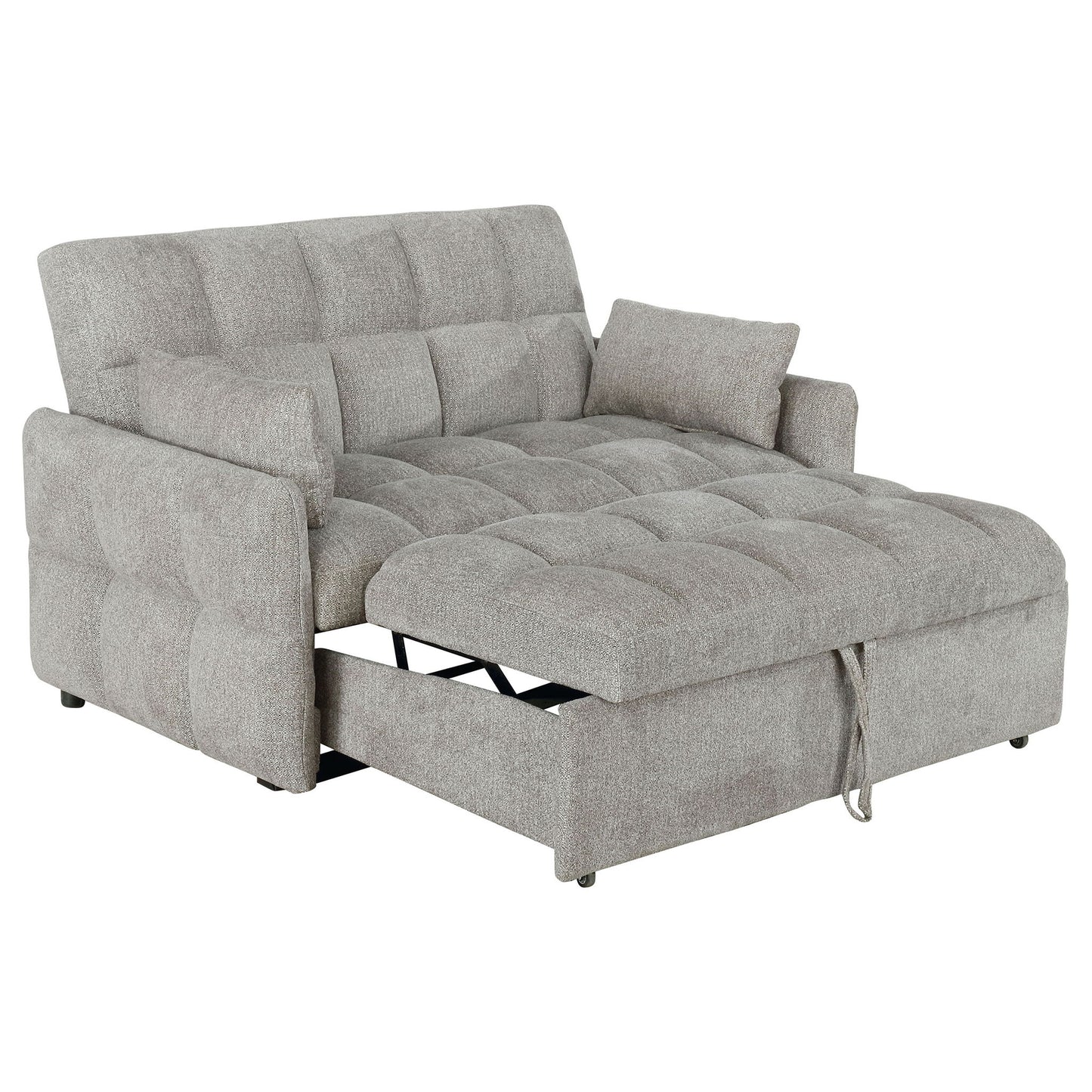 Alvara - Tufted Cushion Pull Out Sleeper Sofa Bed