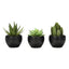 Artificial Succulent Plants (Set of 3)