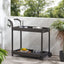 Resin Wicker Bar Cart With Metal Frame - Brown