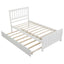 Platform Bed