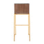 Mason Mara - Contemporary Versatile Desig Fixed Height Barstool (Set of 2)