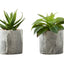 6" Tall, Artificial Plant, Succulent, Indoor, Faux, Fake, Table, Greenery, Potted, Decorative (Set of 2) - Green / Gray