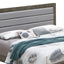 Transitional Modern Design Bed