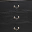 Elegant Traditional Storage Dresser