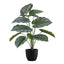24" Tall, Artificial Plant, Calathea, Indoor, Faux, Fake, Table, Greenery, Potted, Real Touch, Decorative - Green / Black