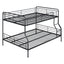 Contemporary Bunk Bed
