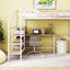 Loft Bed With Desk And Lateral Storage Ladder
