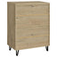 Clackamas - 2 Door Storage Cabinet With Adjustable Shelves