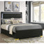 Jeremiah - LED Panel Bed With Touch Controlled Lighting