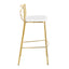 Modern Charlotte - Contemporary Fixed Height Barstool (Set of 2)