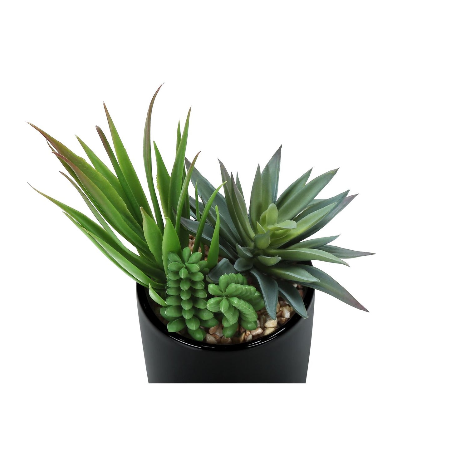 Artificial Succulent Plants (Set of 2)