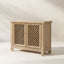 Arden - 2 Door Accent Storage Cabinet - Natural