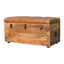Buffalo - Storage Trunk