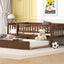 Multi Functional Wooden Daybed