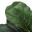 28" Tall, Artificial Plant, Fiddle Tree, Indoor, Faux, Fake, Floor, Greenery, Potted, Real Touch, Decorative - Green / Beige