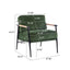 Modern Accent Chair With Cushions, Cozy Seating