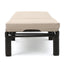 Puerta - Chaise Lounge Frame Cushion Outdoor Wicker Iron - Beige / Dark Brown