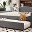 Upholstered Daybed With Storage Armrests, Trundle And Latest Integrated tooth Audio System