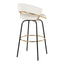 Jie - Fixed Height Contemporary Barstool With Swivel Round Footrest (Set of 2)