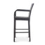 Outdoor Wicker Barstools With Rattan And Iron Frame