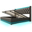Upholstered Bed, 360 Surround LED Function, Remote Control, Hydraulic Storage Bed With USB, Type-C Charging (Without Mattress)