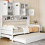 Daybed & All-In-One Cabinet And Shelf