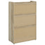 Kyla - 3 Tier Shoe Cabinet