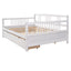 Multifunctional Elegant Modern Daybed