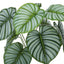 24" Tall, Artificial Plant, Calathea, Indoor, Faux, Fake, Table, Greenery, Potted, Real Touch, Decorative - Green / Black