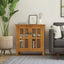 Artisan - Low Storage Cabinet & 2 Doors