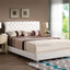 Elegant Transitional Upholstered Bed