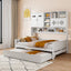 Daybed & All-In-One Cabinet And Shelf