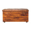 Buffalo - Storage Trunk