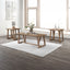 Putnam - 3 Piece Occasional Set (1 Coffee & 2 End Tables) - Walnut