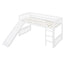 Loft Bed With Slide And Ladder