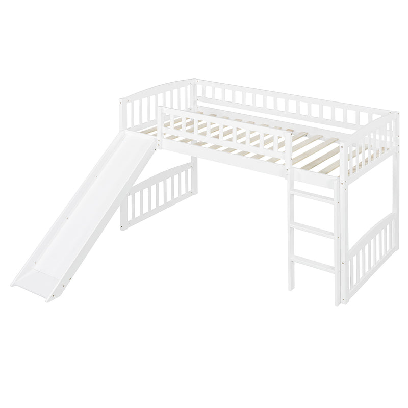 Loft Bed With Slide And Ladder